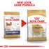 Royal Canin Chihuahua Adult Infographic 3