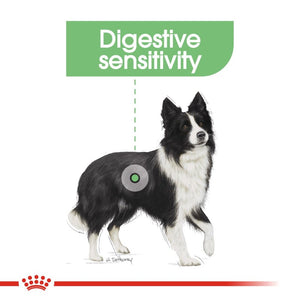 Royal Canin Dog Digestive Care - Medium Infographic 2