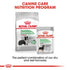 Royal Canin Dog Digestive Care - Medium Infographic 5