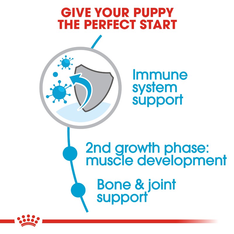 Royal Canin Giant Junior Dog Infographic 2