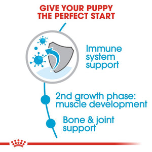 Royal Canin Giant Junior Dog Infographic 2