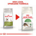 Royal Canin Outdoor Cat Infographic 6