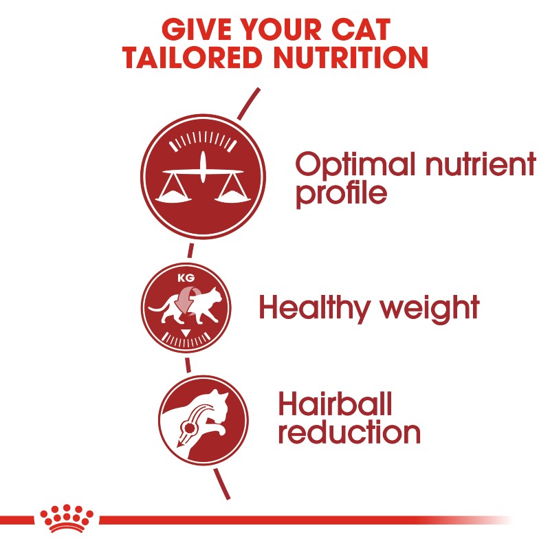 Royal Canin Fit 32 Cat Infographic 1