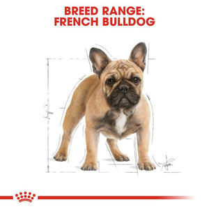 Royal Canin French Bulldog Adult Infographic 1