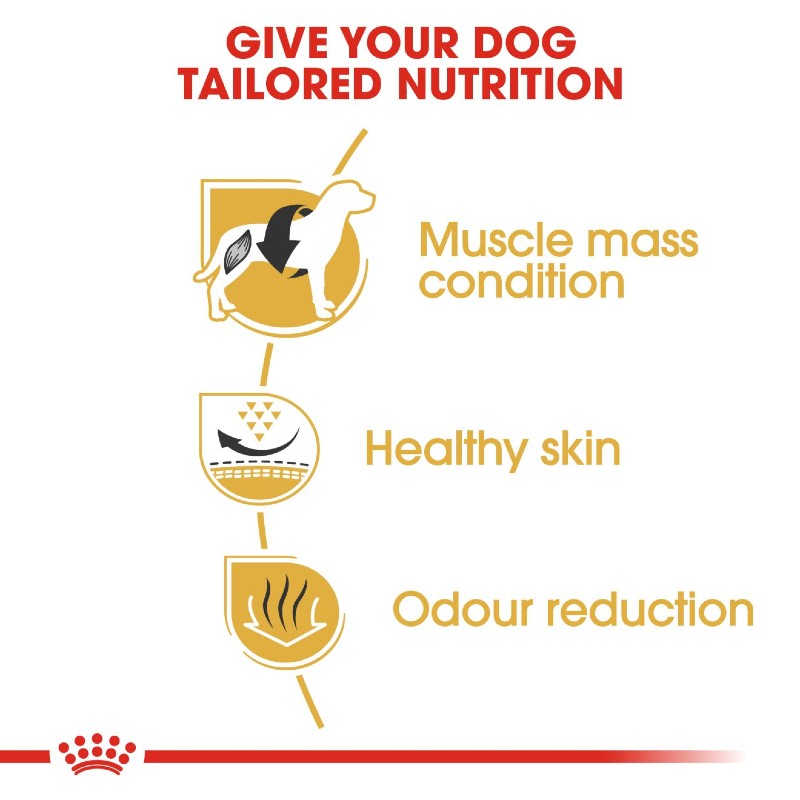 Royal Canin French Bulldog Adult Infographic 3