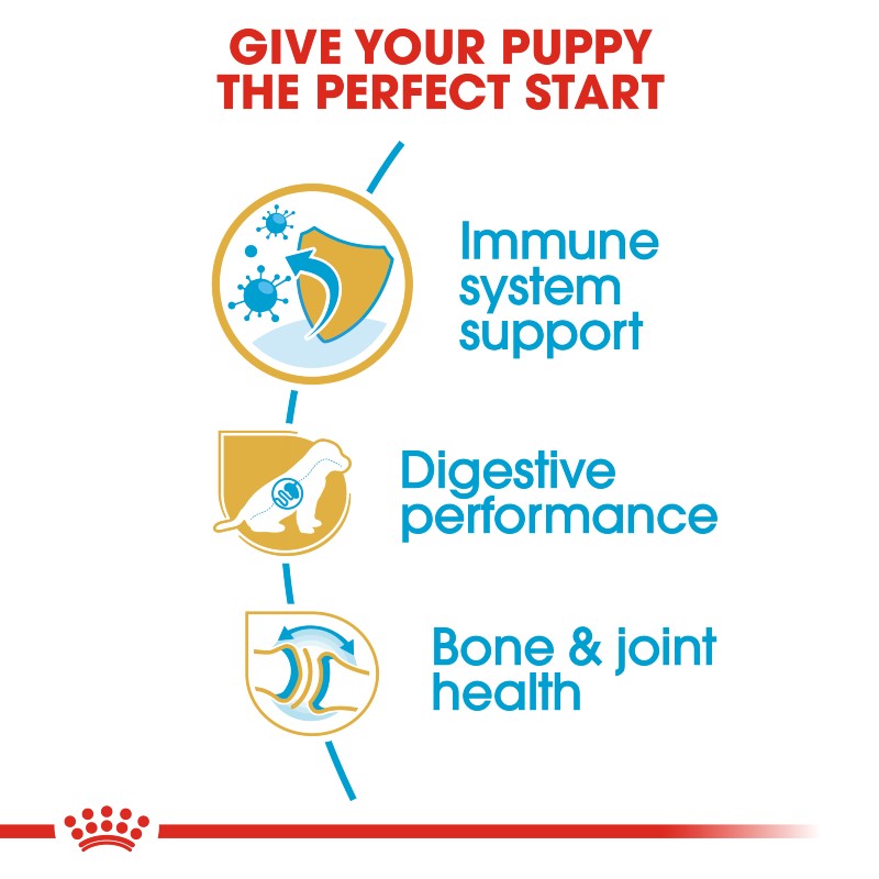 Royal Canin German Shepherd Puppy Infographic 3