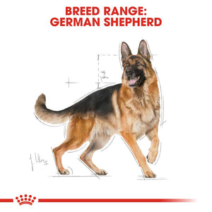 Royal Canin German Shepherd Adult Infographic 1