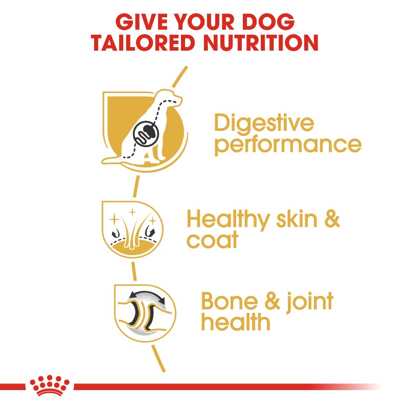 Royal Canin German Shepherd Adult Infographic 3