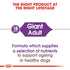 Royal Canin Giant Adult Dog Infographic 1