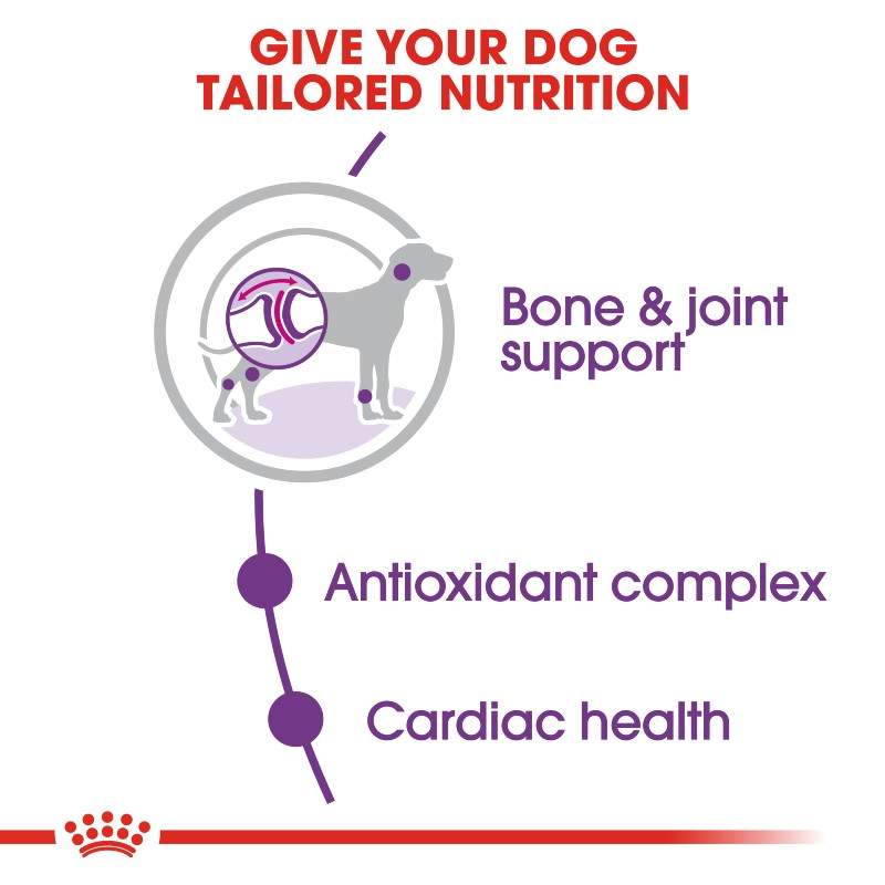 Royal Canin Giant Adult Dog Infographic 2