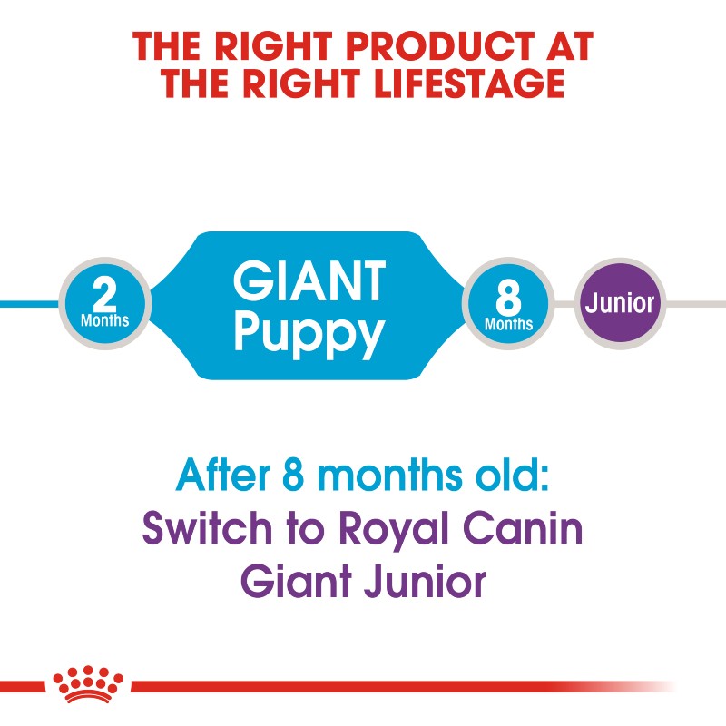 Royal Canin Giant Puppy Infographic 1