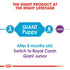 Royal Canin Giant Puppy Infographic 1