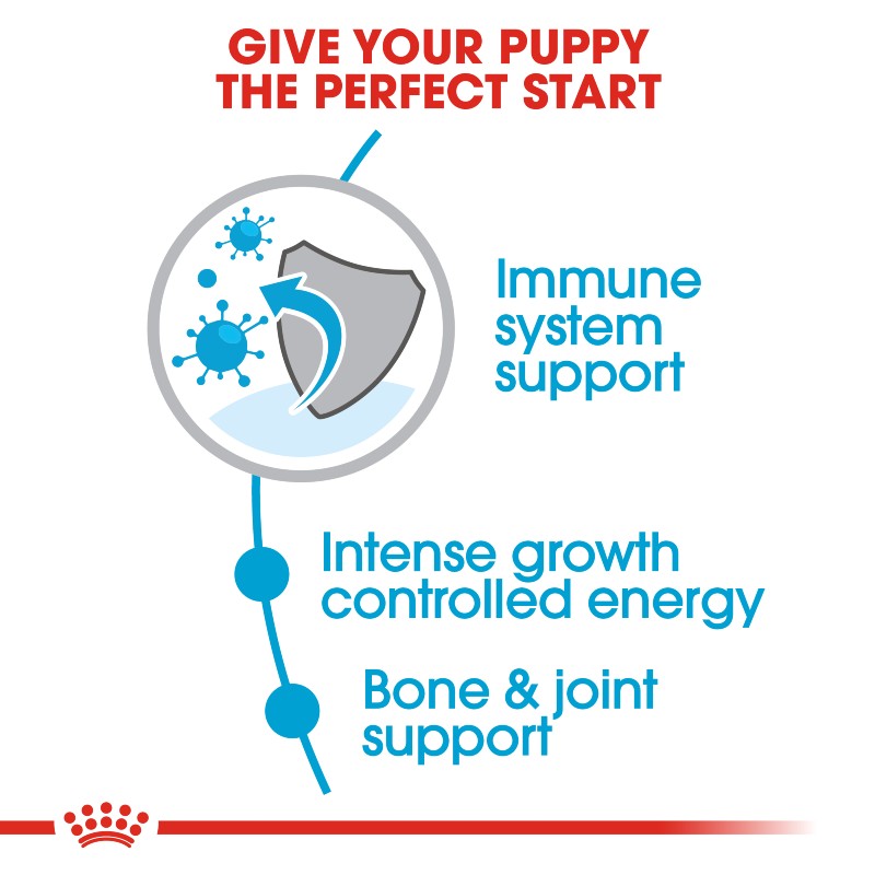 Royal Canin Giant Puppy Infographic 2