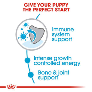 Royal Canin Giant Puppy Infographic 2