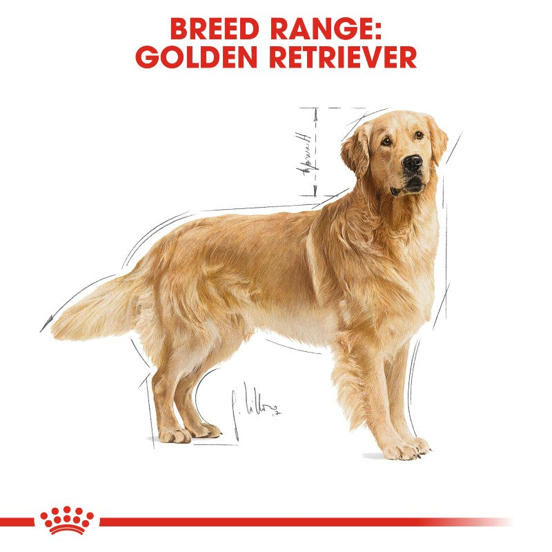 Royal Canin Golden Retriever Adult Infographic 1