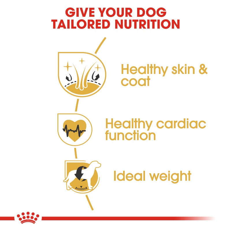 Royal Canin Golden Retriever Adult Infographic 4