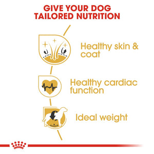 Royal Canin Golden Retriever Adult Infographic 4