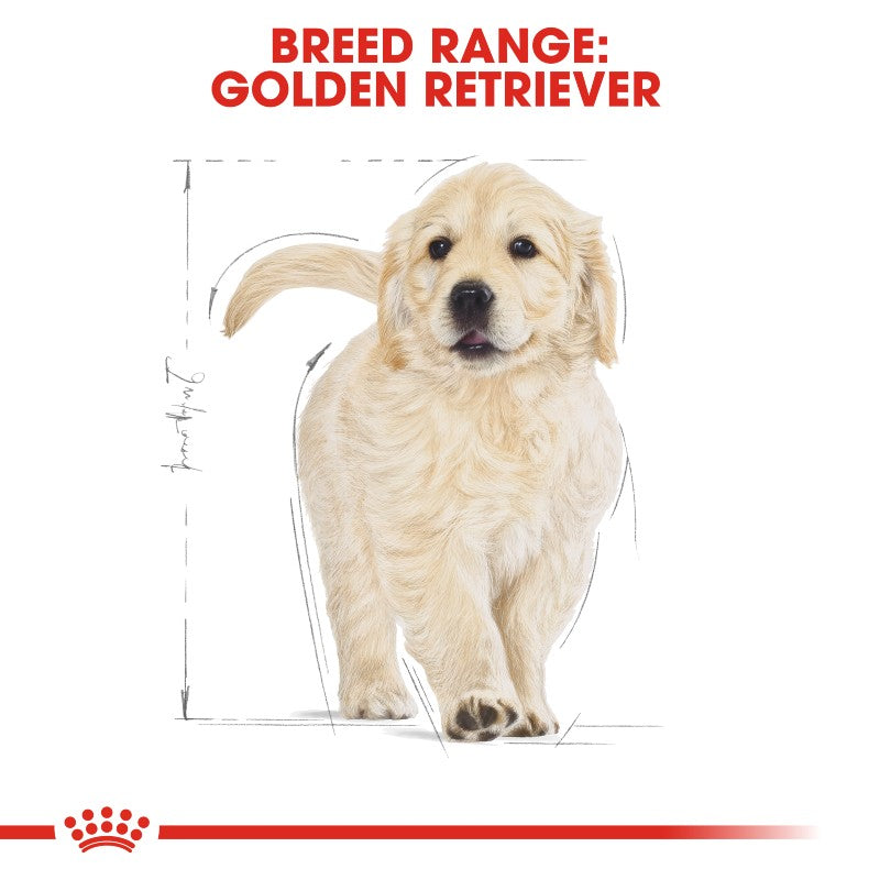 Royal Canin Golden Retriever Puppy Infographic 4