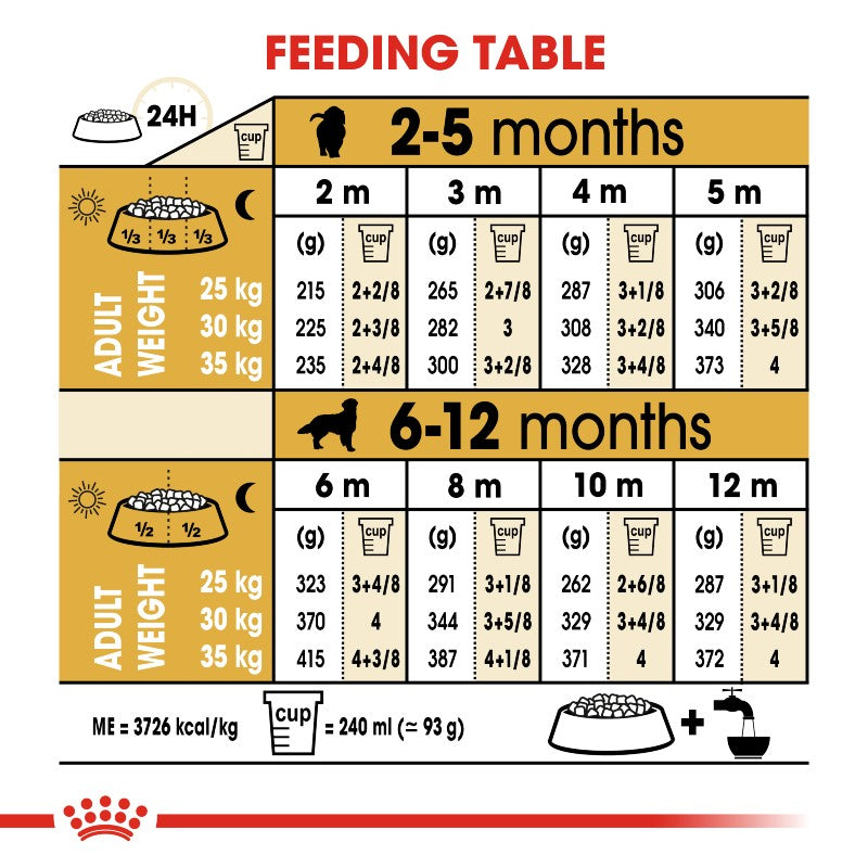 Royal Canin Golden Retriever Puppy Infographic 5