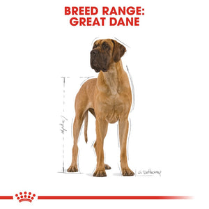 Royal Canin Great Dane Adult Infographic 1