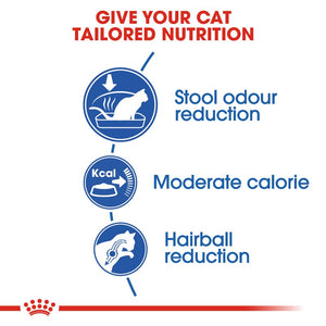 Royal Canin Indoor Cat Infographic 2