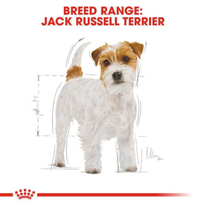 Royal Canin Jack Russell Adult Infographic 1