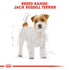 Royal Canin Jack Russell Adult Infographic 1