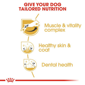 Royal Canin Jack Russell Adult Infographic 3