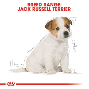 Royal Canin Jack Russell Puppy Infographic 4