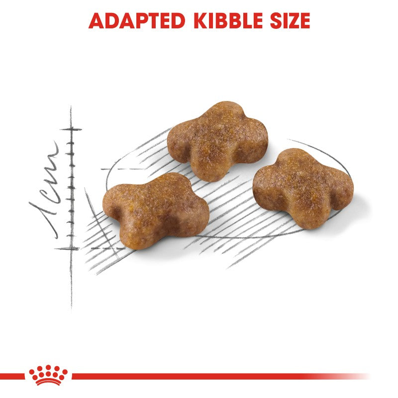 Royal Canin Kitten – product detail image (available online in South Africa)