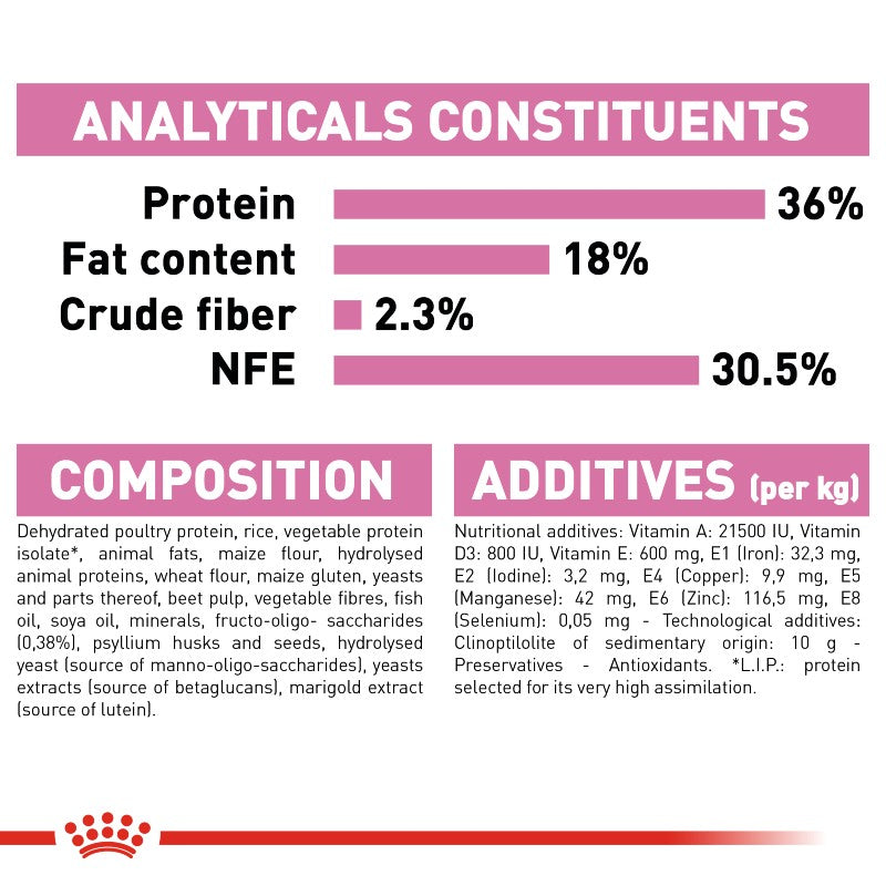 Royal Canin Kitten – product detail image (buy in South Africa)
