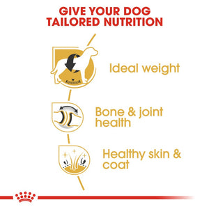 Royal Canin Labrador Retriever Adult Infographic 3