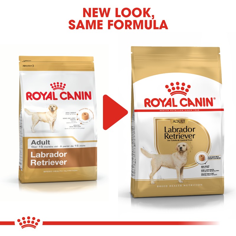 Royal Canin Labrador Retriever Adult Infographic 4