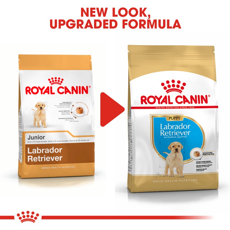 Royal Canin Labrador Retriever Puppy Buy Puppy Food Online Canine Co