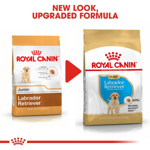 Royal Canin Labrador Retriever Puppy Infographic 6