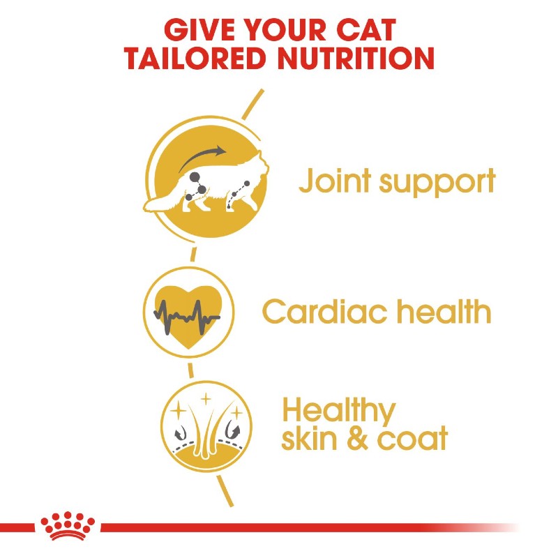 Royal Canin Maine Coon Adult Cat Infographic 3