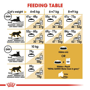Royal Canin Maine Coon Adult Cat Infographic 5