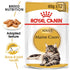 Royal Canin Maine Coon Adult Cat Wet Food Pouch Infographic 6