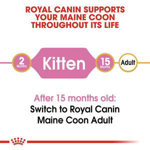 Royal Canin Maine Coon Kitten Infographic 1