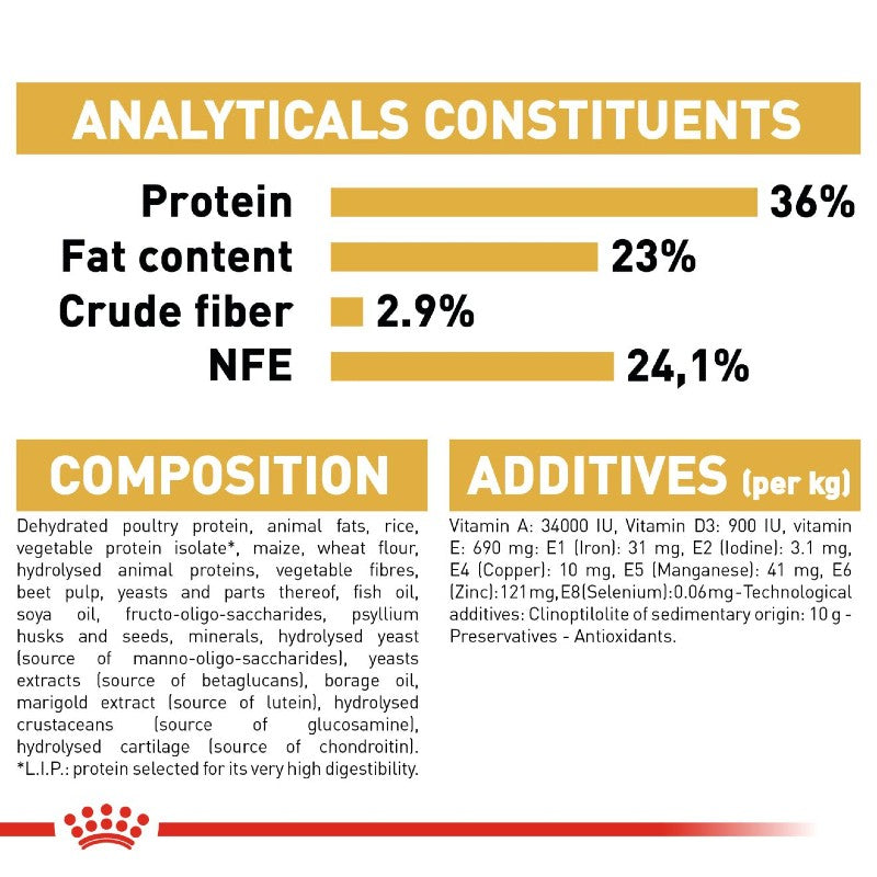 Royal Canin Maine Coon Kitten Infographic 8