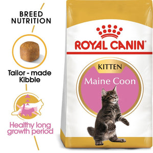 Royal Canin Maine Coon Kitten Infographic 9
