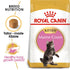 Royal Canin Maine Coon Kitten Infographic 9