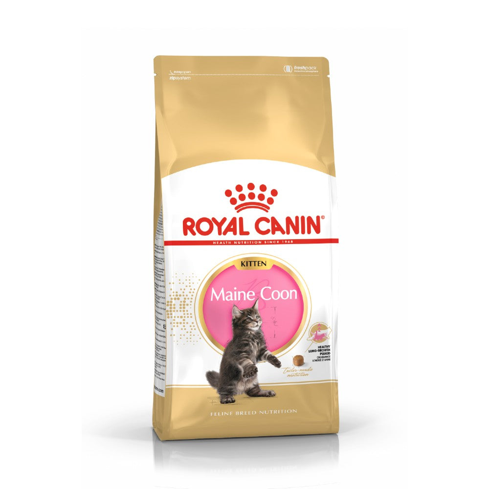 Royal Canin Maine Coon Kitten