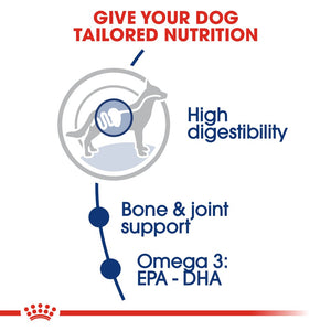 Royal Canin Maxi Adult Dog Infographic 2