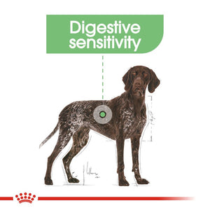 Royal Canin Dog Digestive Care - Maxi - Infographic 2