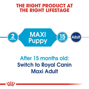 Royal Canin Maxi Puppy Infographic 1