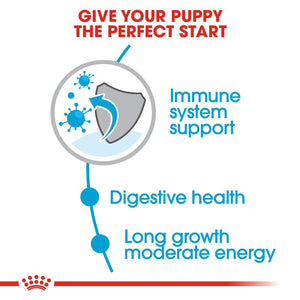 Royal Canin Maxi Puppy Infographic 2