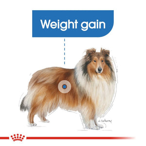 Royal Canin Dog Light Weight Care - Maxi Infographic 7
