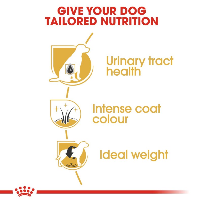 Royal Canin Schnauzer Adult Infographic 2