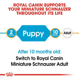 Royal Canin Schnauzer Puppy Infographic 1